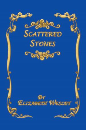 Cover of the book Scattered Stones by TANGELLA BRAYLOCK WEATHERSPOON, TIMOTHY ROBINSON