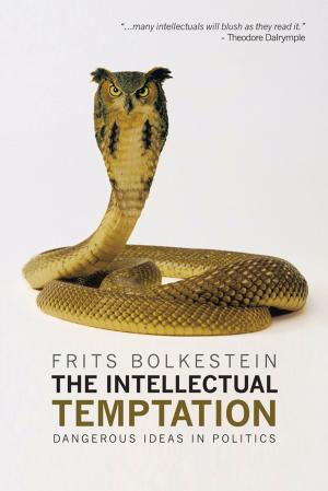 Cover of the book The Intellectual Temptation by Nancy Eldeek