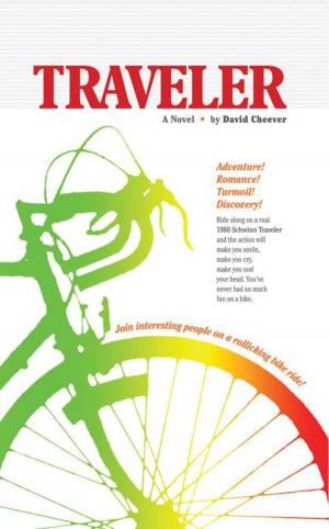 bigCover of the book Traveler by 