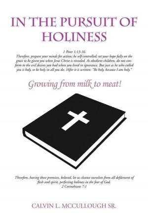 Cover of the book In the Pursuit of Holiness by Julian LeSouffrir