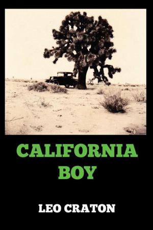 Cover of the book California Boy by JENNIFER HULSHOF-BOONE