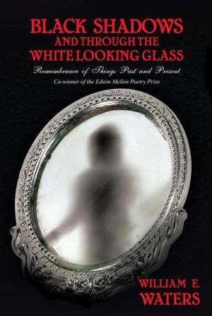 Book cover of Black Shadows and Through the White Looking Glass