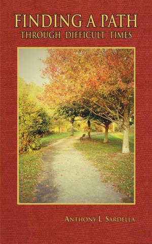 bigCover of the book Finding a Path Through Difficult Times by 