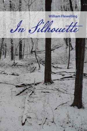 Cover of In Silhouette by William Flewelling, AuthorHouse