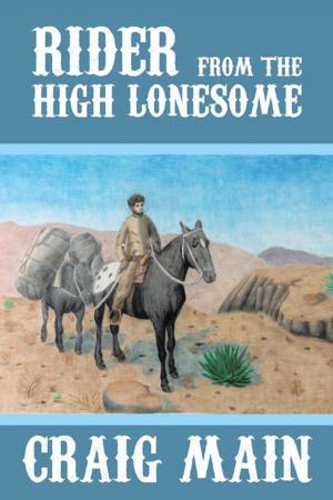Cover of the book Rider from the High Lonesome by Jane Kelly
