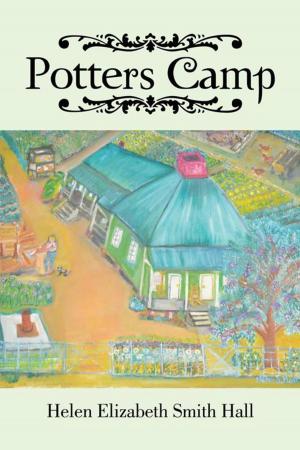 Cover of the book Potters Camp by M. Larry Litwin APR Fellow PRSA