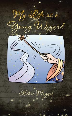 Cover of the book My Life as a Young Wizard by Yael H. Zouzout