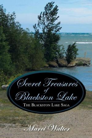 Cover of the book Secret Treasures of Blackston Lake by Trevor Underwood