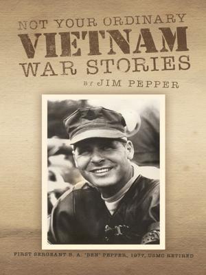 Cover of the book Not Your Ordinary Vietnam War Stories by C. Philip O’Carroll, Jack Sholl