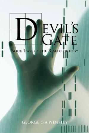 Cover of the book Devil's Gate by Richard Quinn