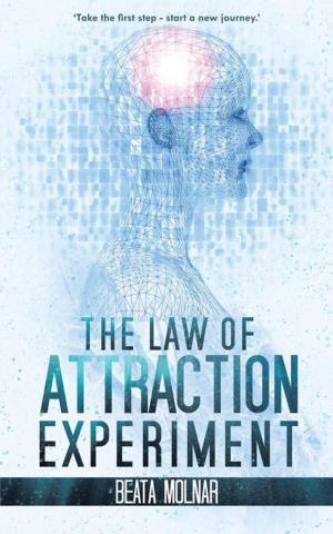 Cover of the book The Law of Attraction Experiment by Shantilal G. Goradia