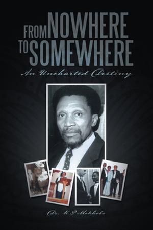 Cover of the book From Nowhere to Somewhere by Robin Allott