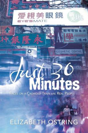 Cover of the book Just 30 Minutes by D.M. Jones