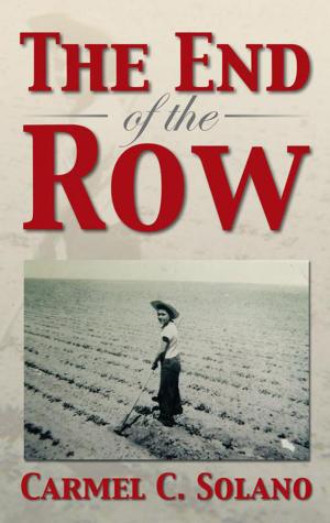 Cover of the book The End of the Row by Erol Channer