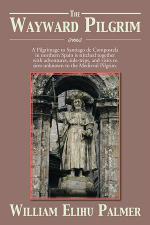 Cover of the book The Wayward Pilgrim by Thomas R. Moody Jr