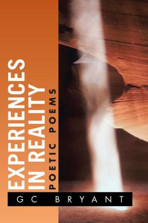Cover of the book Experiences in Reality by Robert Kroeger
