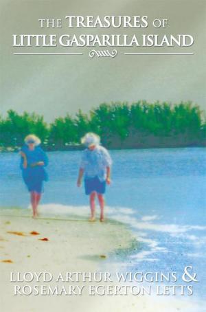Book cover of The Treasures of Little Gasparilla Island