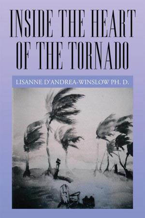 Cover of the book Inside the Heart of the Tornado by Herbert Rosenblum