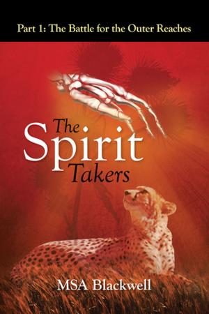 Cover of the book The Spirit Takers by R. Rudrappan