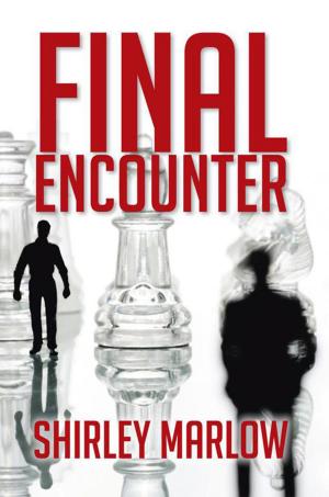 Book cover of Final Encounter