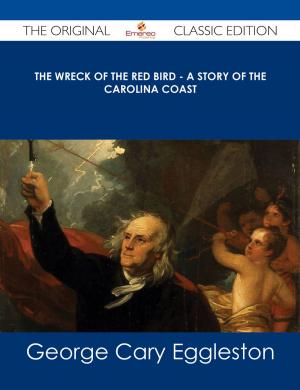 Book cover of The Wreck of The Red Bird - A Story of the Carolina Coast - The Original Classic Edition