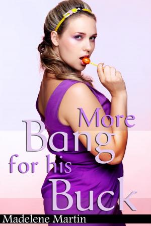 Book cover of More Bang for His Buck - The Millionaire's Girl (BBW BDSM Erotic Romance)