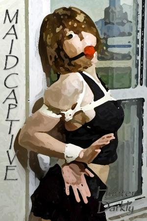 Book cover of Maid Captive