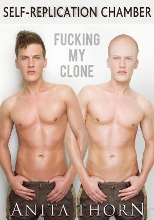 Cover of the book Self-Replication Chamber - Fucking my Clone (short story, gay, sex, anal, rough, self love) by Arlo Mercia