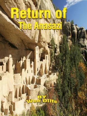 Book cover of Return of the Anasazi