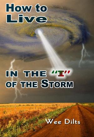 Book cover of How to Live in the "I" of the Storm