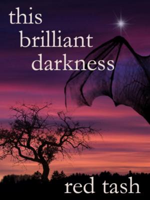 Book cover of This Brilliant Darkness (A Dark Contemporary Fantasy)