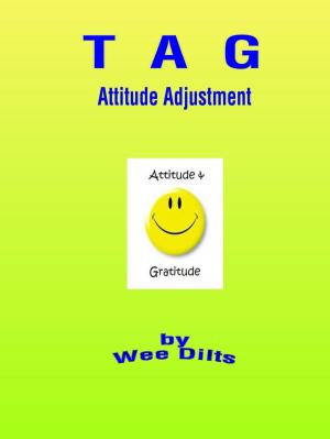 Cover of the book Attitude Adjustment by Joseph Graham