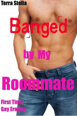 Cover of the book Banged by My Roommate (First Time Gay Erotica) by Johan Fournier
