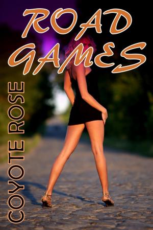 Cover of the book Road Games (Role Play, Public Sex Stories) by Anne Dayton, May Vanderbilt