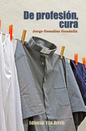 Cover of the book De profesión, cura by Marcos Brunet