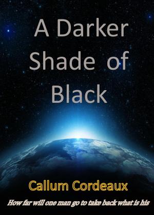 Cover of the book A Darker Shade of Black by K. D. McAdams