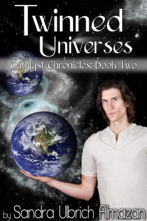 Book cover of Twinned Universes