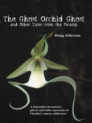 Book cover of The Ghost Orchid Ghost