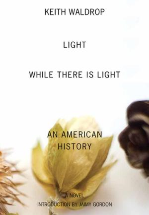 Cover of the book Light While There Is Light by Marie Chaix