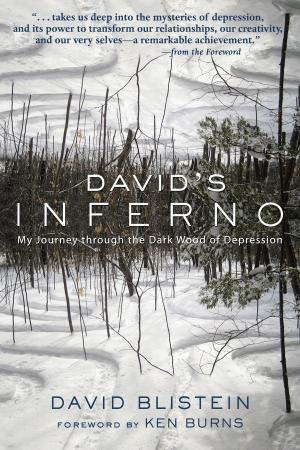 Cover of the book David's Inferno by Michelle Honda