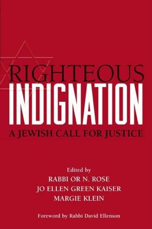 Book cover of Righteous Indignation