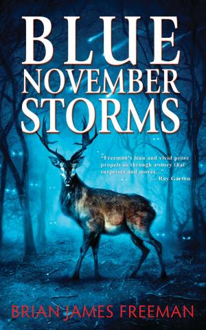 Book cover of Blue November Storms