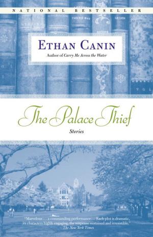 Book cover of The Palace Thief