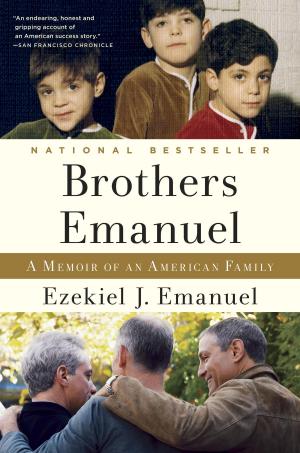 Cover of the book Brothers Emanuel by Deb Caletti