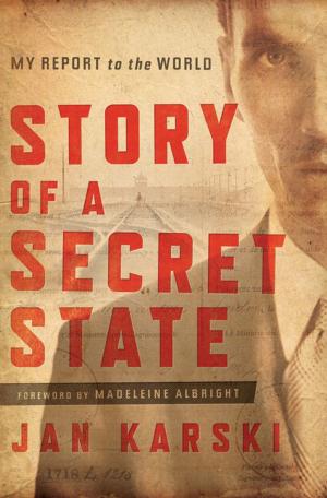 Cover of the book Story of a Secret State by Kevin J. O'Brien