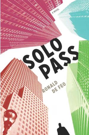 Cover of the book Solo Pass by John Preston