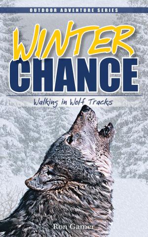 Cover of the book Winter Chance by Tom Chapin