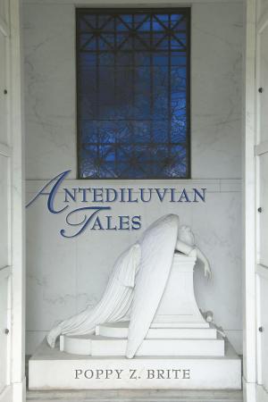Cover of the book Antediluvian Tales by James P. Blaylock