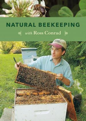 Cover of the book Natural Beekeeping by Katrina Blair