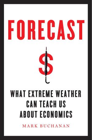 Cover of the book Forecast by Niamh Thornton